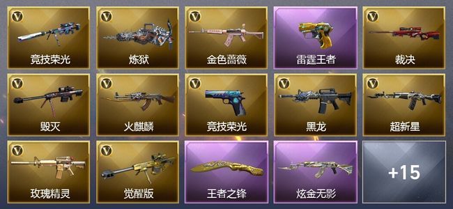 穿越火线（CF）2王者武器 1炫金武器 29V武器 1V角色 5皮肤 可排位 新锐