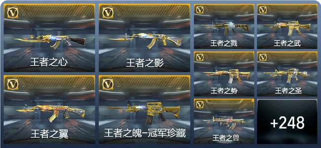 穿越火线：枪战王者V9 33王者武器 285英雄武器 9英雄角色 541万化 枪皇SSS