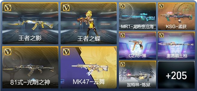 穿越火线：枪战王者4王者武器 214英雄武器 10英雄角色 399万化 大师