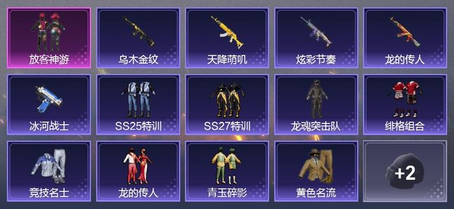 和平精英【苹果版】1粉装 5枪皮 11套装 2263热力 黄金