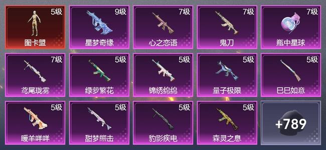 和平精英【苹果版】4载具 25升级枪 12粉装 10尾迹 308套装 157489热力 24印记 超级王牌