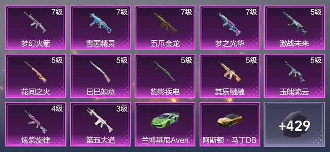 和平精英【苹果版】5载具 12升级枪 10粉装 3尾迹 261枪皮 184套装 9,0557热力 28印记 星钻