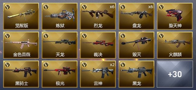 穿越火线（CF）1王者武器 3炫金武器 52V武器 6皮肤 可排位 精英