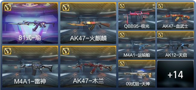 穿越火线：枪战王者V5 24英雄武器 21万化 专家S