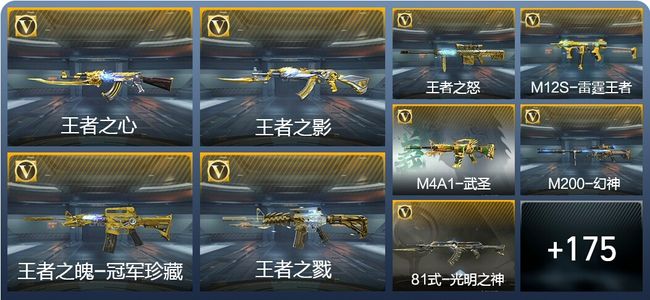 穿越火线：枪战王者14王者武器 184英雄武器 6英雄角色 259万化 枪王SSS