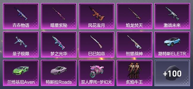 和平精英【苹果版】4载具 10升级枪 13粉装 173枪皮 140套装 星钻