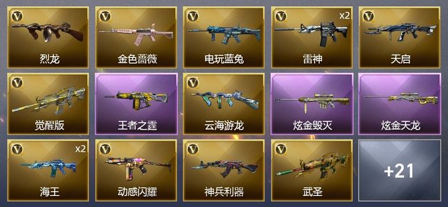 穿越火线（CF）1王者武器 2炫金武器 40V武器 20皮肤 可排位 新锐