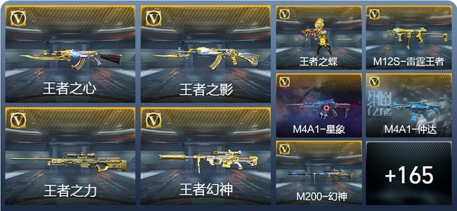 穿越火线：枪战王者14王者武器 174英雄武器 5英雄角色 306万化 新锐