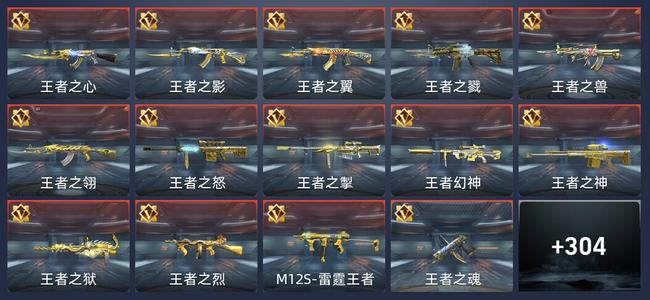 穿越火线：枪战王者36王者 308英雄武器 10英雄角色 521万化 专家S