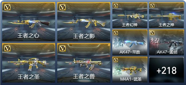 穿越火线：枪战王者V9 22王者武器 242英雄武器 7英雄角色 481万化 专家S