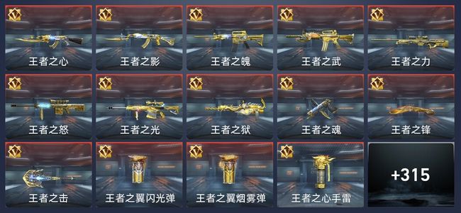 穿越火线：枪战王者V9 26王者 313英雄武器 16英雄角色 432万化 新锐