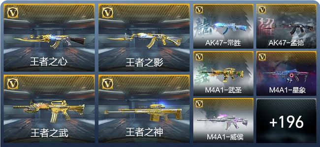 穿越火线：枪战王者V8 19王者武器 235英雄武器 5英雄角色 383万化 枪皇S