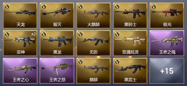 穿越火线（CF）3王者武器 24V武器 1V角色 6皮肤 可排位 大师