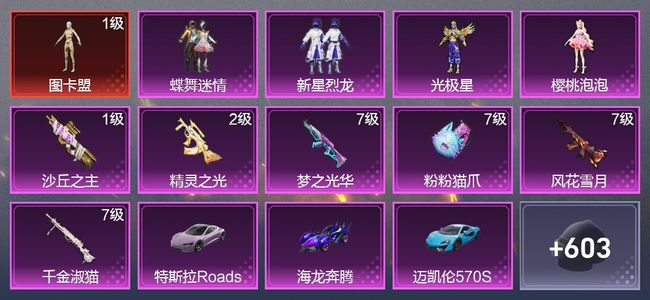 和平精英3载具 17升级枪 14粉装 6尾迹 349枪皮 265套装 125973热力 19印记 皇冠