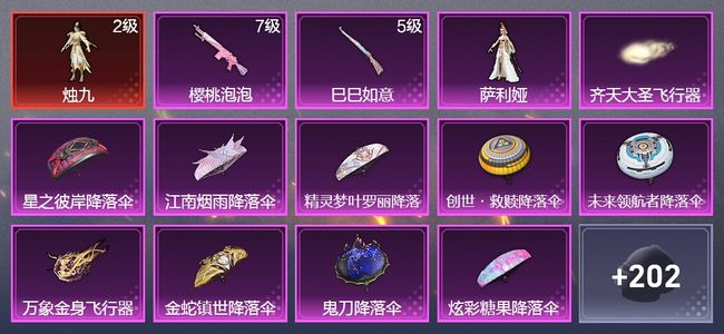 和平精英2升级枪 1粉装 1飞行器 125枪皮 97套装 40293热力 9印记 王牌