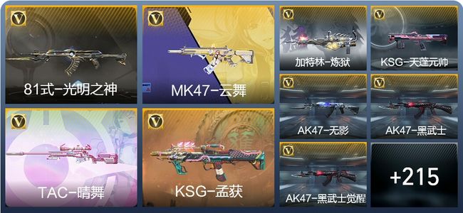 穿越火线：枪战王者3王者武器 224英雄武器 11英雄角色 252万化 大师