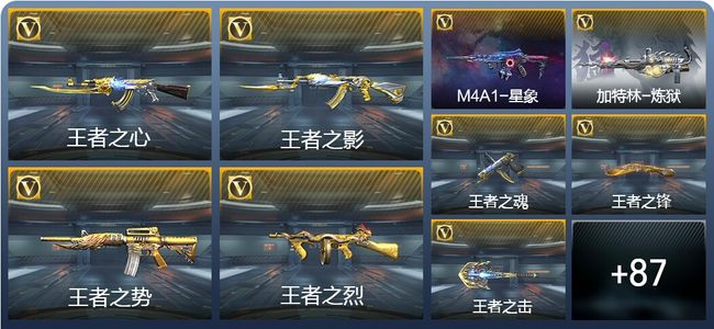 穿越火线：枪战王者V6 8王者武器 104英雄武器 233万化 枪圣SSS