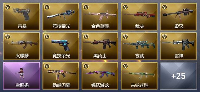 穿越火线（CF）44V武器 2V角色 12皮肤 可排位