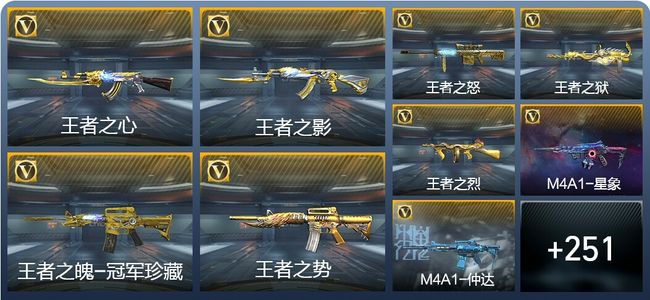 穿越火线：枪战王者V9 21王者武器 279英雄武器 8英雄角色 551万化 枪王SSS