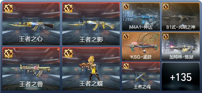 穿越火线：枪战王者V6 15王者 172英雄武器 1英雄角色 204万化 枪王S