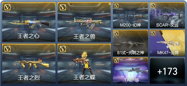 穿越火线：枪战王者V5 7王者武器 192英雄武器 6英雄角色 344万化 枪皇S