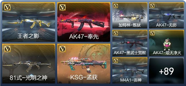 穿越火线：枪战王者V5 2王者武器 113英雄武器 5英雄角色 209万化 枪皇S