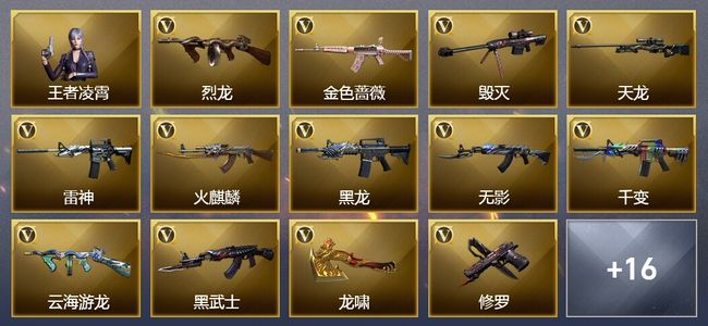 穿越火线（CF）25V武器 10皮肤 不可排位 新锐