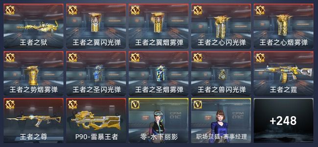 穿越火线：枪战王者V3 12王者 289英雄武器 7英雄角色 456万化 枪皇S