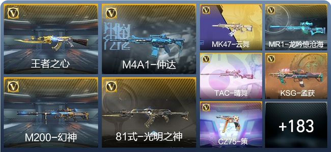 穿越火线：枪战王者V5 13王者武器 216英雄武器 5英雄角色 341万化 枪皇S