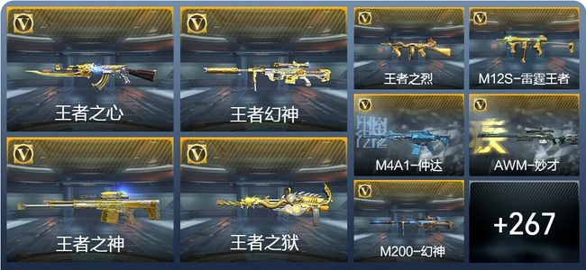 穿越火线：枪战王者V6 11王者武器 276英雄武器 8英雄角色 402万化 枪王SS