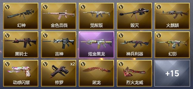 穿越火线（CF）1炫金武器 25V武器 5皮肤 可排位 枪王