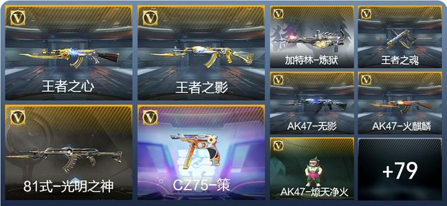 穿越火线：枪战王者V5 145英雄武器 新锐