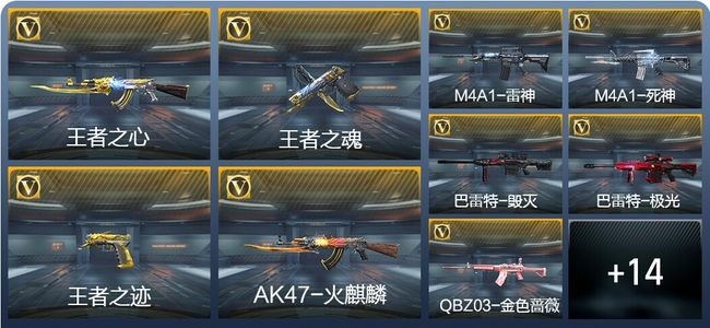 穿越火线：枪战王者V1 50英雄武器 新锐