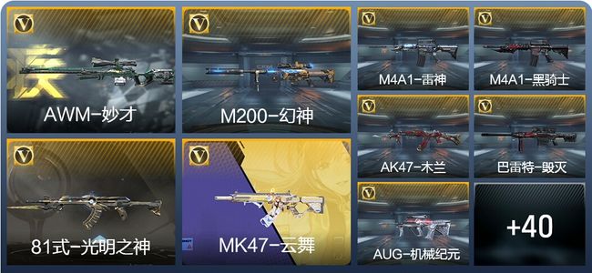 穿越火线：枪战王者V2 86英雄武器 新锐
