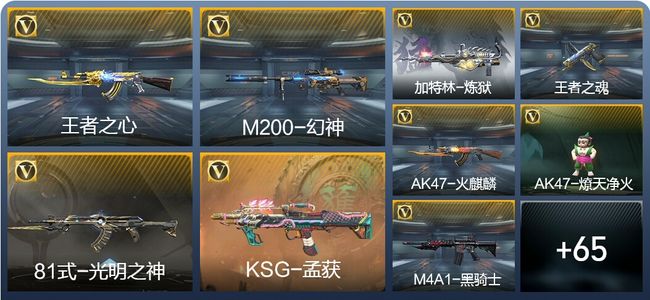 穿越火线：枪战王者V1 134英雄武器 新锐