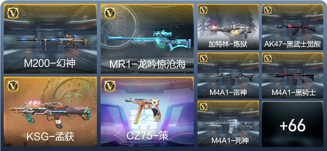 穿越火线：枪战王者【苹果版】V2 137英雄武器 新锐