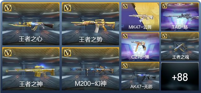 穿越火线：枪战王者V5 205英雄武器 新锐