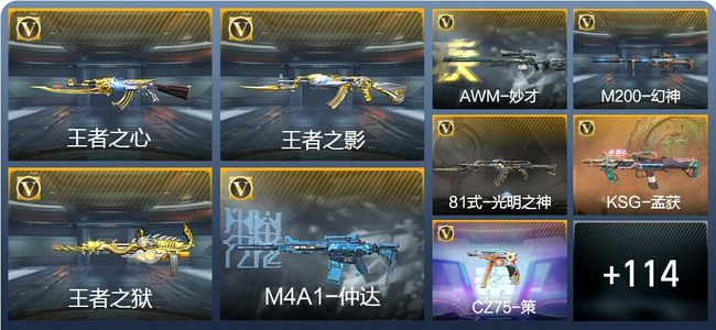 穿越火线：枪战王者V3 232英雄武器 新锐