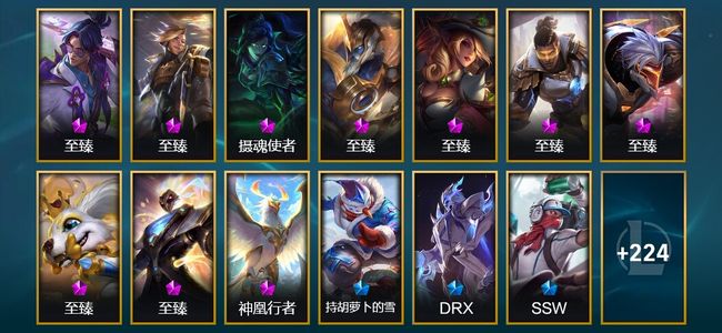 英雄联盟（LOL）11神话 11臻彩 39限定 39传说 241皮肤 113炫彩 172英雄