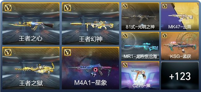 穿越火线：枪战王者V6 210英雄武器 新锐