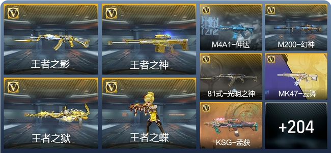 穿越火线：枪战王者V2 361英雄武器 新锐