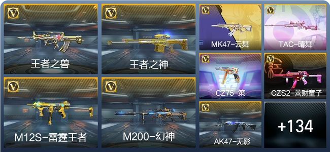 穿越火线：枪战王者V2 278英雄武器 新锐