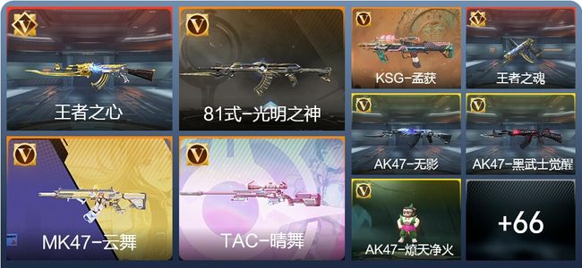 穿越火线：枪战王者V1 123英雄武器 新锐