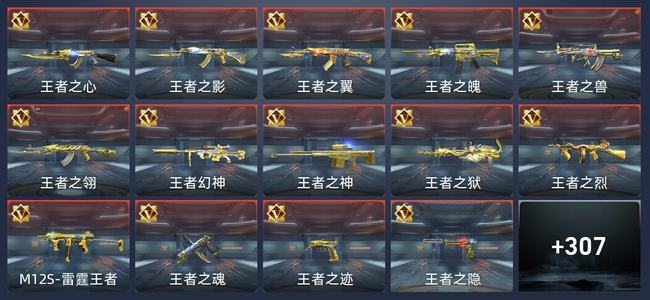穿越火线：枪战王者V9 479英雄武器 新锐