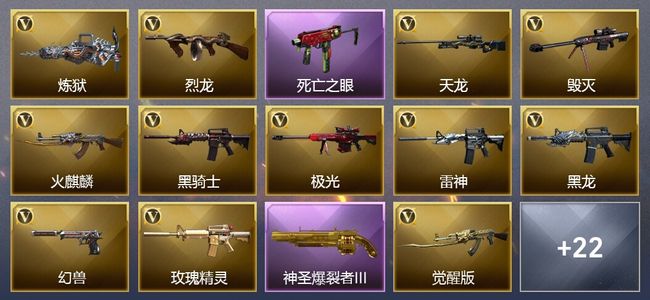 穿越火线（CF）5王者武器 48V武器 7V角色 24皮肤 可排位