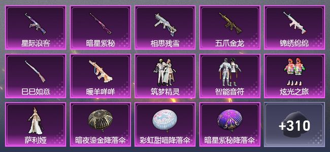 和平精英【苹果版】8升级枪 4粉装 202套装 76603热力 20印记