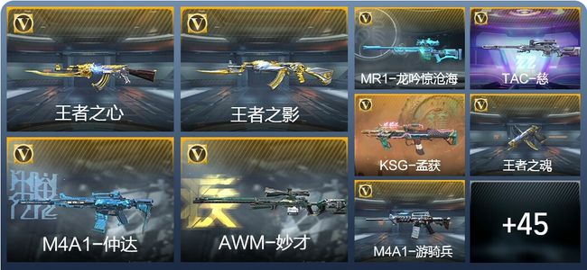 穿越火线：枪战王者V5 125英雄武器 新锐