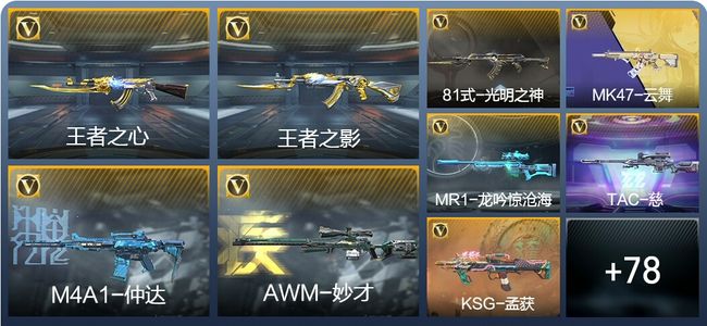 穿越火线：枪战王者V5 154英雄武器 新锐