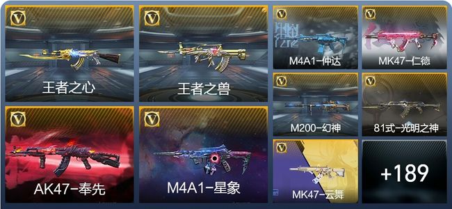 穿越火线：枪战王者V6 13王者武器 198英雄武器 5英雄角色 319万化 专家S