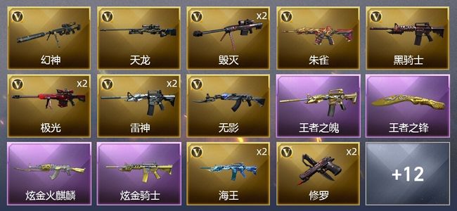 穿越火线（CF）2王者武器 2炫金武器 25V武器 3V角色 7皮肤 可排位 专家